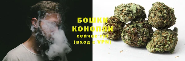 молекула духа Бугульма