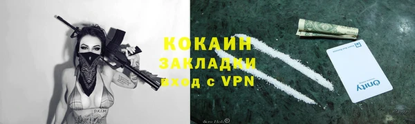 дживик Богданович