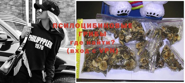 дживик Богданович