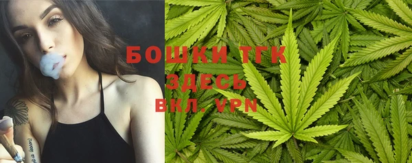 дживик Богданович