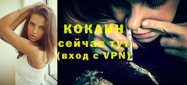 дживик Богданович