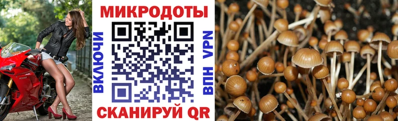 Галлюциногенные грибы MAGIC MUSHROOMS  Тбилисская 